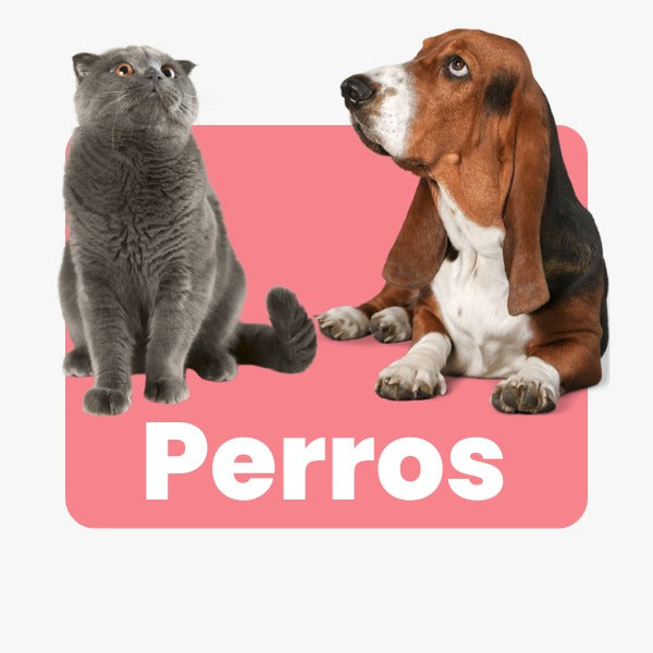 Perros